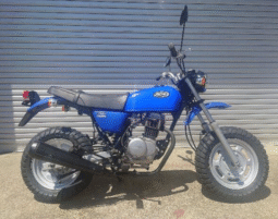 
										HONDA  Ape100 2004 full									