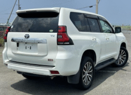 TOYOTA  Land Cruiser Prado  2019