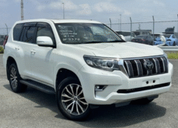 TOYOTA  Land Cruiser Prado  2019