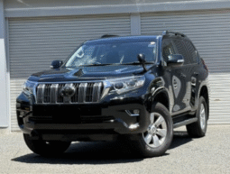TOYOTA  Land Cruiser Prado  2019