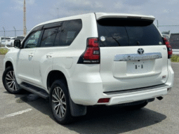 TOYOTA  Land Cruiser Prado  2019
