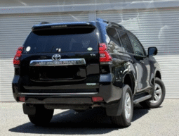 TOYOTA  Land Cruiser Prado  2019