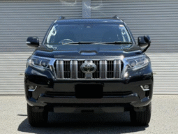 TOYOTA  Land Cruiser Prado  2019