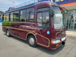 
										Hino   Liesse   1999 full									