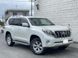 
										TOYOTA  Land Cruiser Prado TX 2014 full									