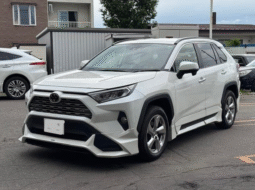 TOYOTA RAV 4 2019