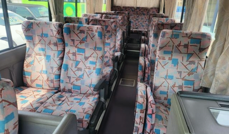 
								Hino   Liesse   1999 full									