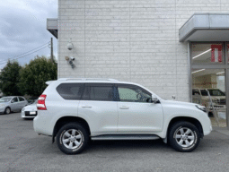 
										TOYOTA  Land Cruiser Prado TX 2014 full									