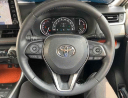 TOYOTA RAV 4 2020