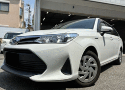 Toyota  Corolla  Fielder  2018