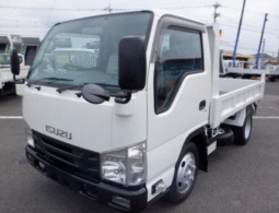 ISUZU   Elf   2019