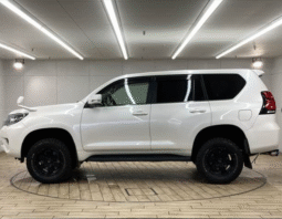 TOYOTA  Land Cruiser Prado   2018