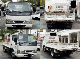 ISUZU    Elf    2003