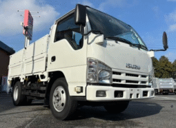 ISUZU  ELF  2011
