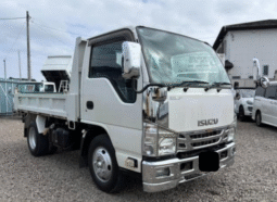 ISUZU  ELF  2010