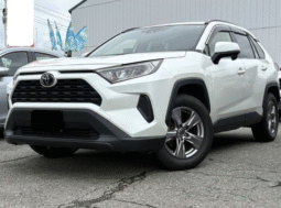 TOYOTA  RAV4  2019