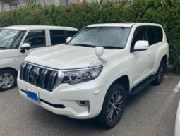TOYOTA  LAND  CRUISER  PRADO  2019
