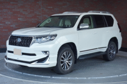 TOYOTA  LAND  CRUISER  PRADO  2019