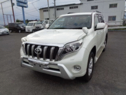 TOYOTA  LAND  CRUISER  PRADO  2018
