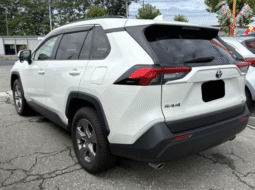 TOYOTA  RAV4  2019