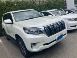 TOYOTA  LAND  CRUISER  PRADO  2019