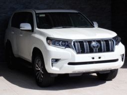 TOYOTA  LAND  CRUISER  PRADO  2019