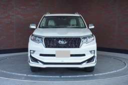 TOYOTA  LAND  CRUISER  PRADO  2019