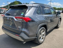 TOYOTA  RAV4  2020