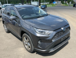 TOYOTA  RAV4  2020