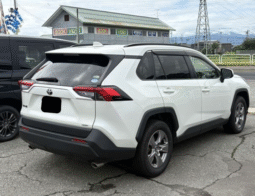 TOYOTA  RAV4  2019
