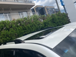 TOYOTA  LAND  CRUISER  PRADO  2019