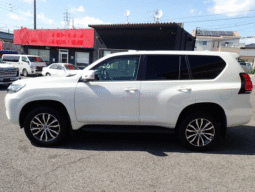 TOYOTA  LAND  CRUISER  PRADO  2019