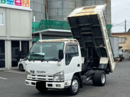 ISUZU  ELF  2010