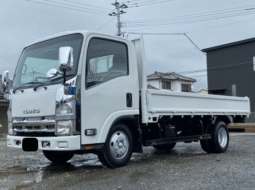 ISUZU ELF  TRUCK  2019