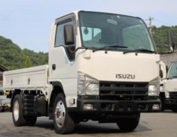 ISUZU ELF 2012