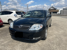 TOYOTA  COROLLA  FIELDER  2002