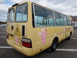 HINO LIESSE BUS 2010