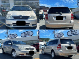 TOYOTA  COROLLA  FIELDER  2000