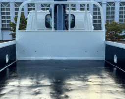 
										ISUZU  ELF  CRANE  TRUCK  2008 full									