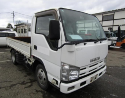 ISUZU  ELF  FLATBODY  TRUCK  2009