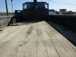 ISUZU  ELF  CRANE  TRUCK  2004